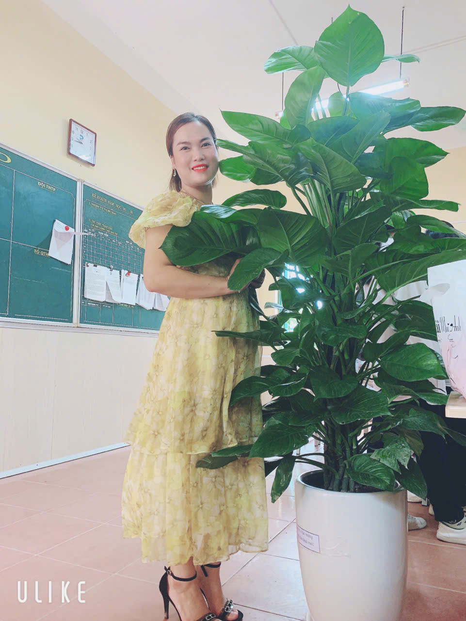 Đội ngũ có trách nhiệm của Trung Tâm Gia Sư Trí Việt